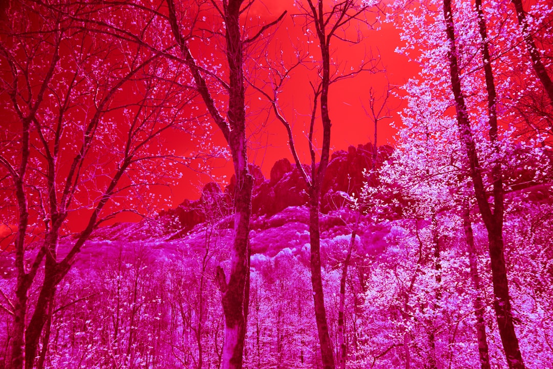pintura surrealista imagen 3